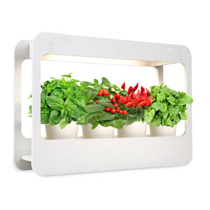 Smart Indoor Garden Kit