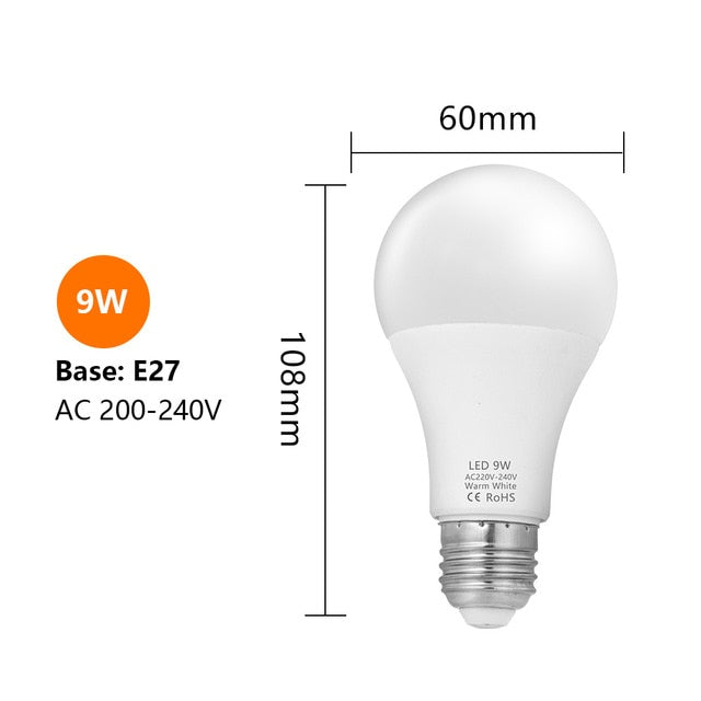 LED Bulbs Edison Screw