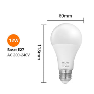 LED Bulbs Edison Screw