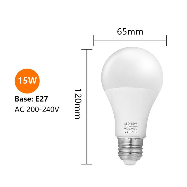 LED Bulbs Edison Screw