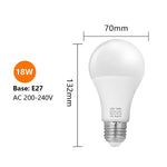 LED Bulbs Edison Screw